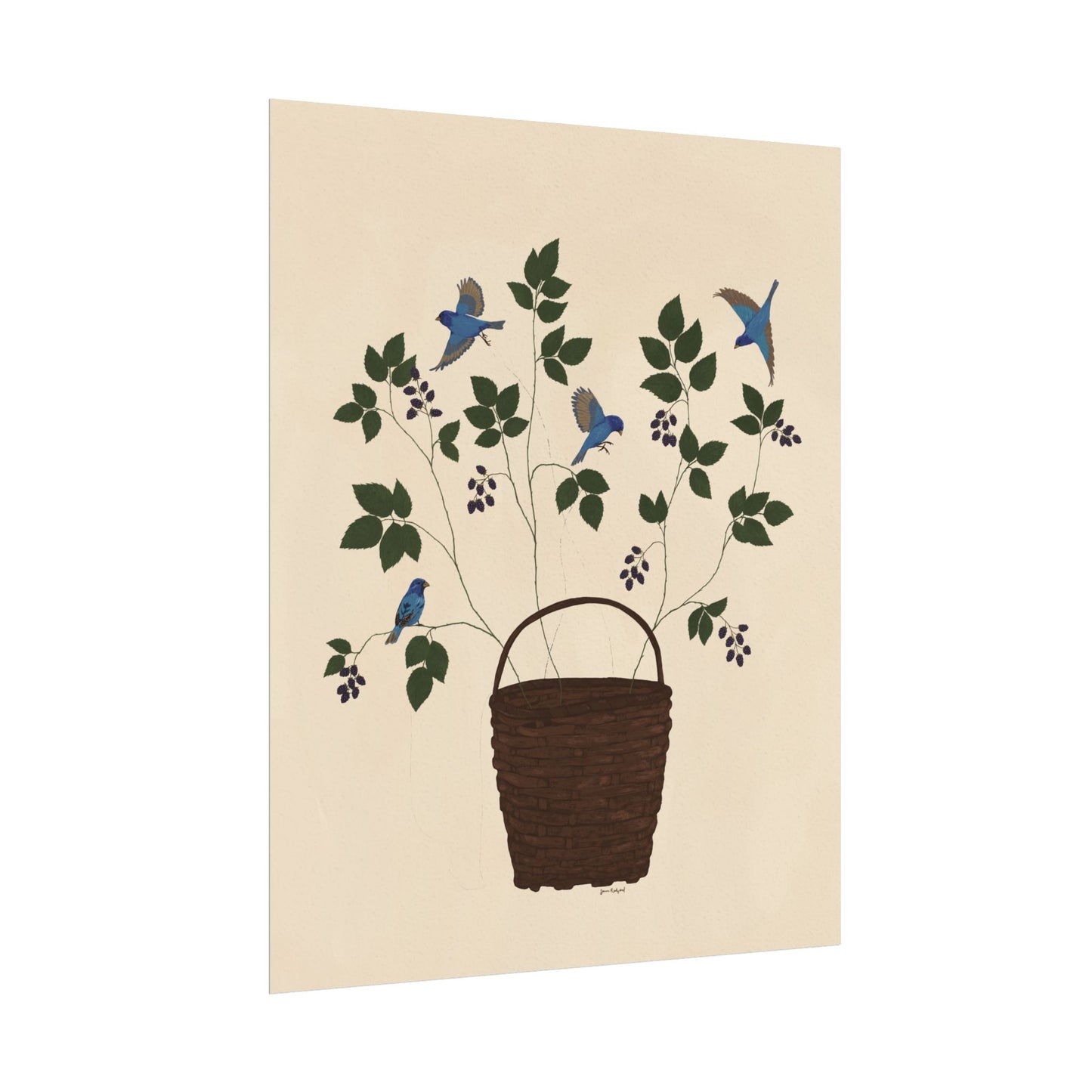 Tethered no. 3 Blackberries and Bluebirds Botanical Gouache Watercolor Poster — Textured Matte Fine Art Print