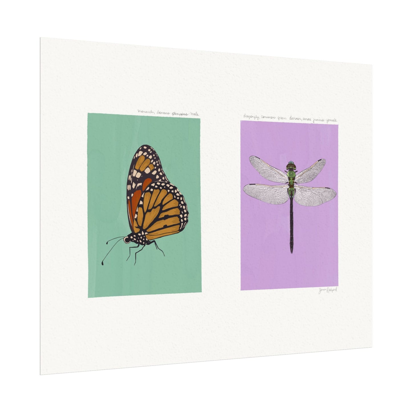 Monarch Butterfly & Dragonfly Gouache Art Print — Textured Matte Nature Journal Poster