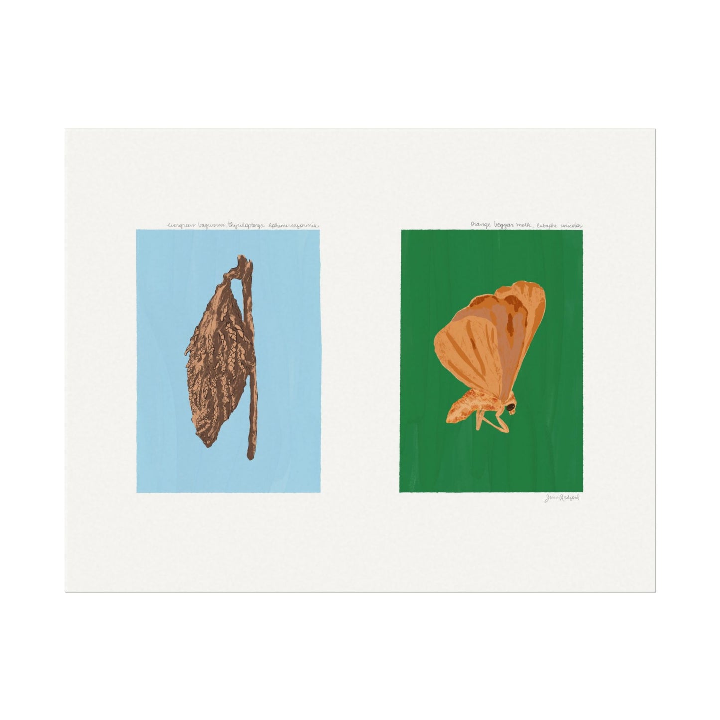 Evergreen Bagworm and Orange Beggar Moth Gouache Art Print — Textured Matte Nature Journal Poster