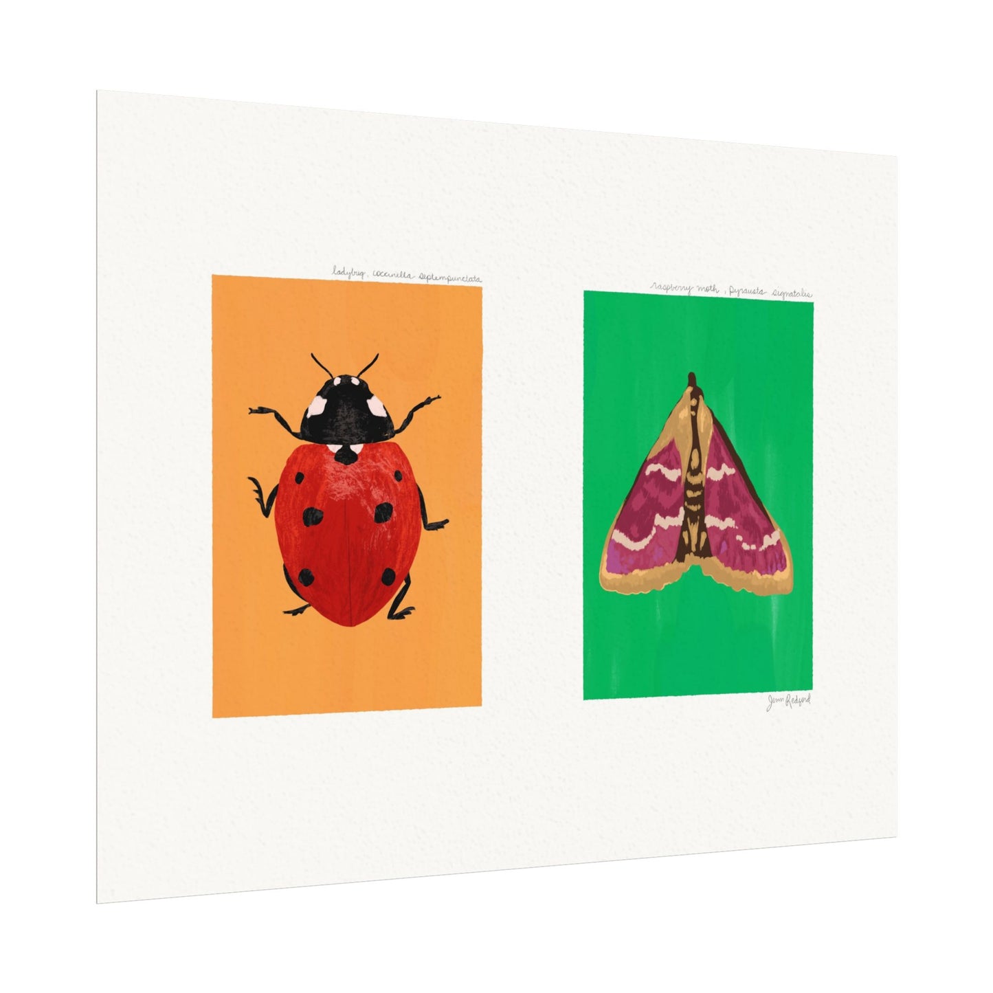 Ladybug and Raspberry Moth Gouache Art Print — Textured Matte Nature Journal Poster