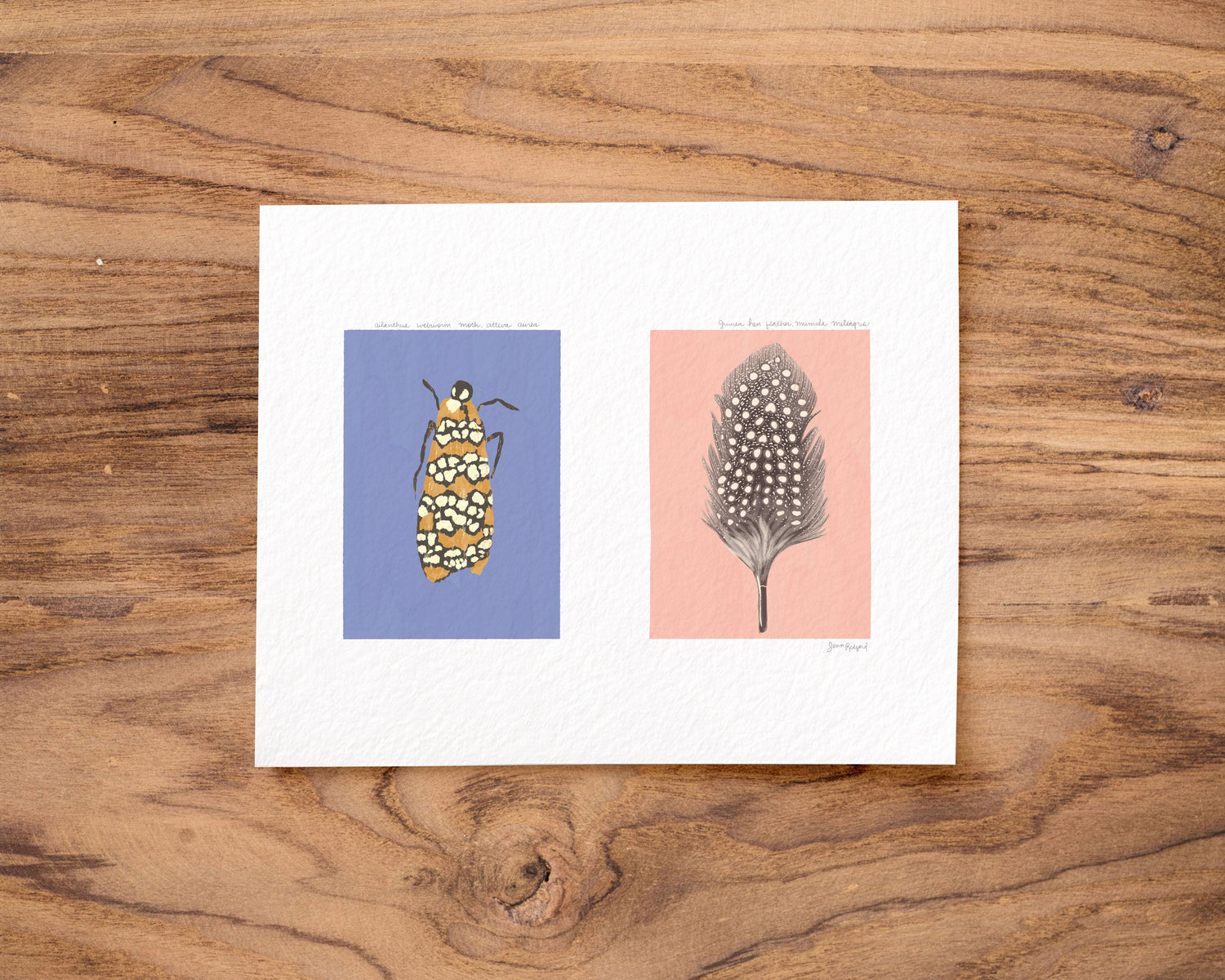 Nature Journal Series