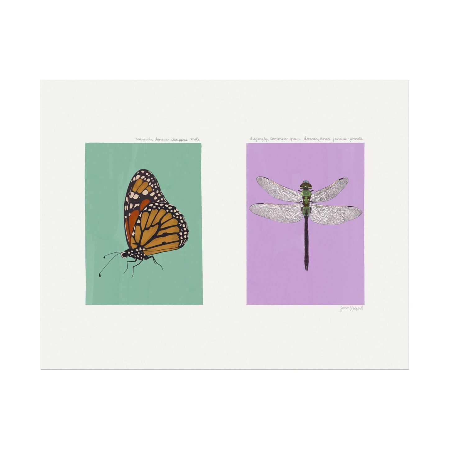 Monarch Butterfly & Dragonfly Gouache Art Print — Textured Matte Nature Journal Poster