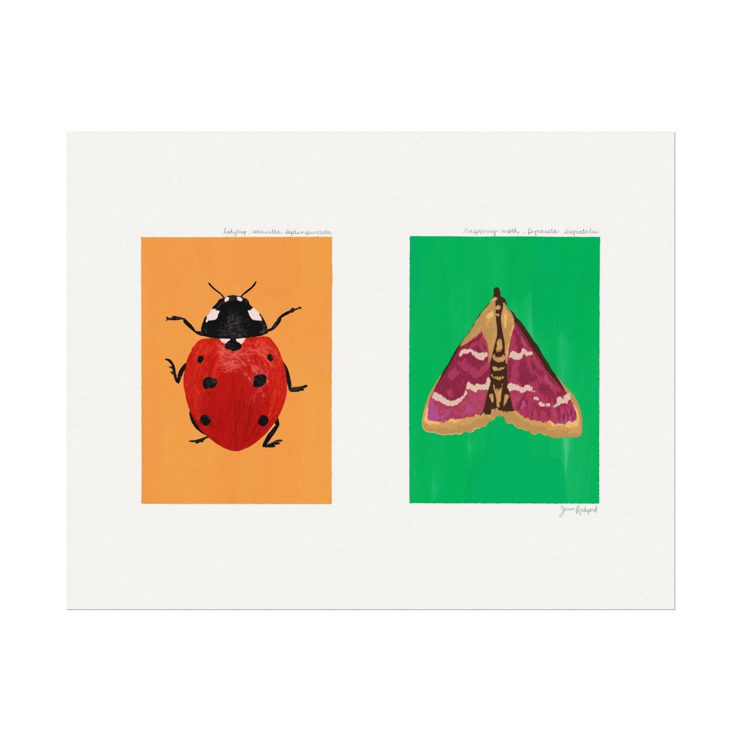Ladybug and Raspberry Moth Gouache Art Print — Textured Matte Nature Journal Poster