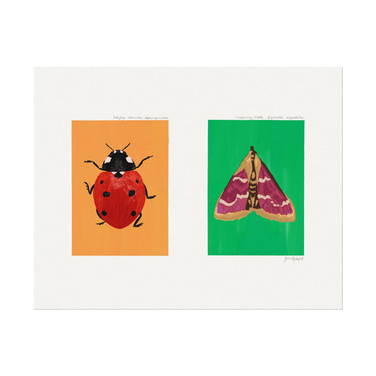 Ladybug and Raspberry Moth Gouache Art Print — Textured Matte Nature Journal Poster
