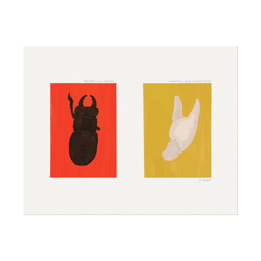 Stag Beetle & Crawdad Claw Gouache Art Print — Textured Matte Nature Journal Poster