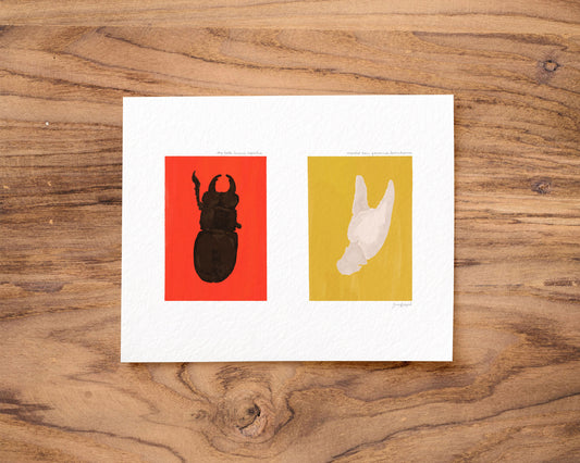 Stag Beetle & Crawdad Claw Gouache Art Print — Textured Matte Nature Journal Poster