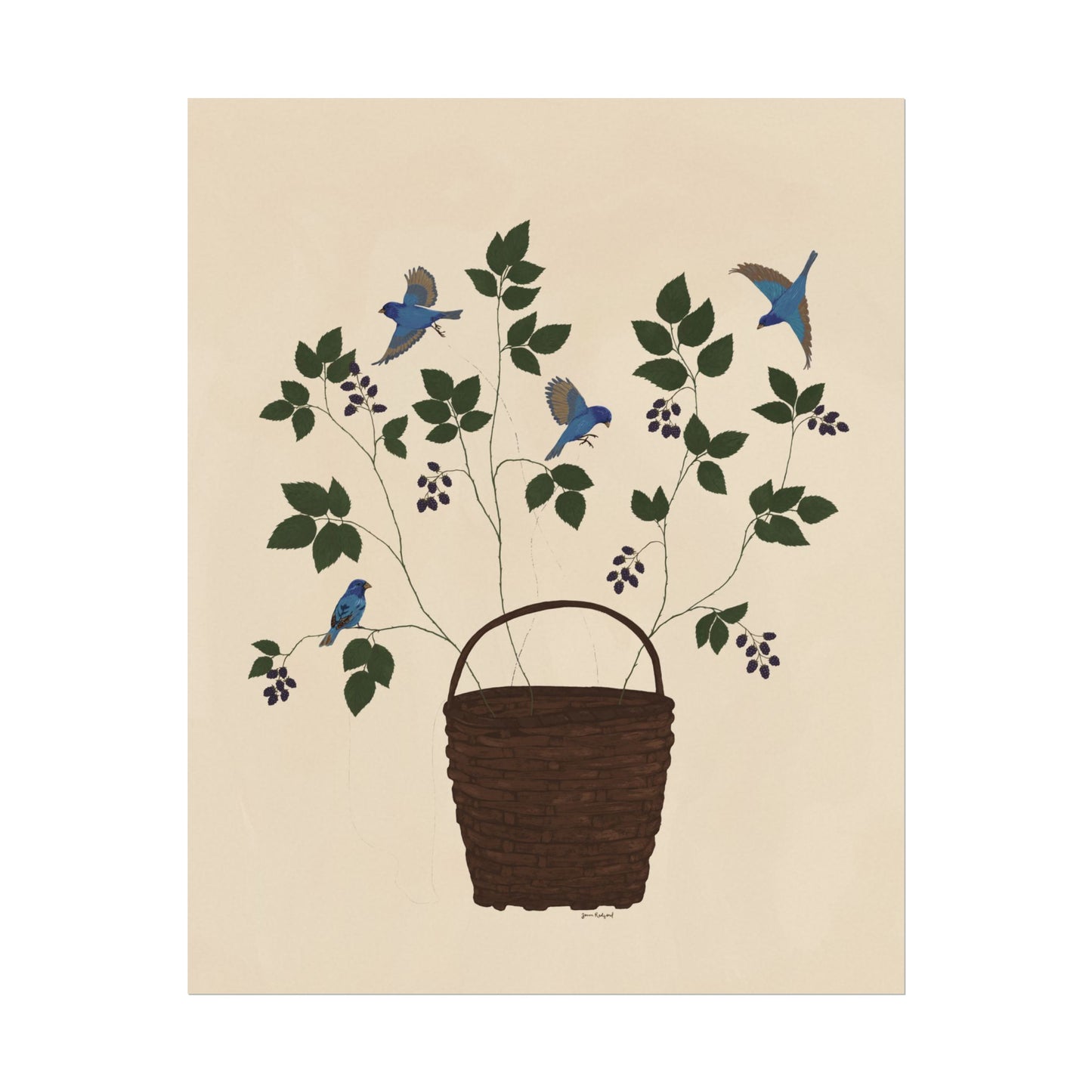 Tethered no. 3 Blackberries and Bluebirds Botanical Gouache Watercolor Poster — Textured Matte Fine Art Print