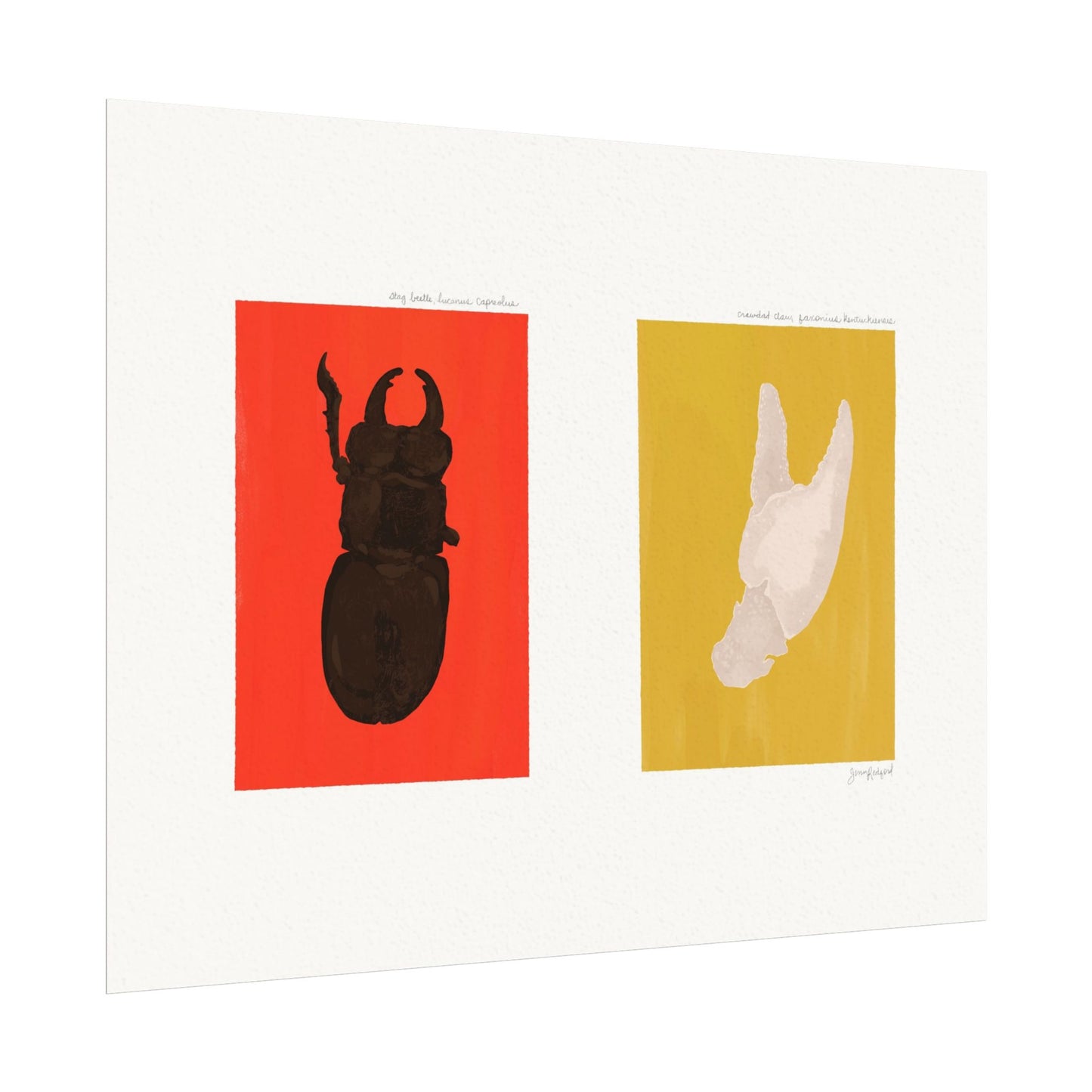 Stag Beetle & Crawdad Claw Gouache Art Print — Textured Matte Nature Journal Poster